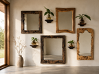 Lichen Shelf - Unique Wooden Decor