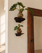 Lichen Shelf - Unique Wooden Decor